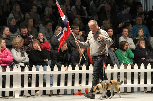 Oslo Dog Show