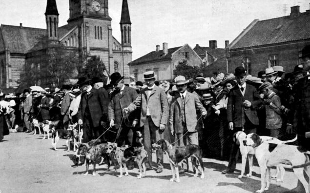 Hunder vises på utstilling rundt 1900
