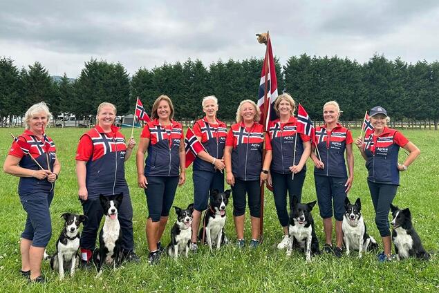 Åtte kvinner med hunder og norske flagg.
