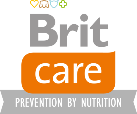 Brit care logo