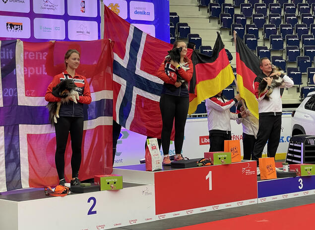 Glade norske medaljevinnere på seierspallen.