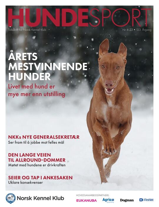 Forsidebilde av bladet Hundesport nr. 4 2022