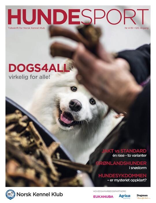 Forsidebilde av bladet Hundesport nr.  4  2019