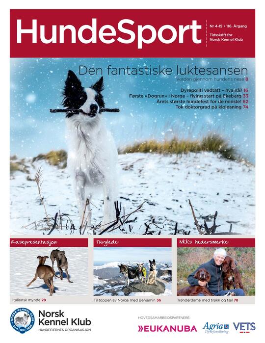 Forsidebilde av bladet Hundesport nr. 4  2015