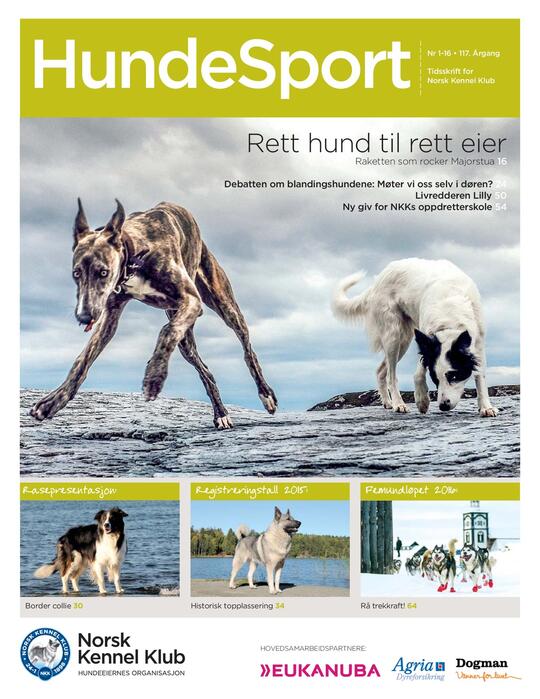 Forsidebilde av bladet Hundesport nr. 1  2016